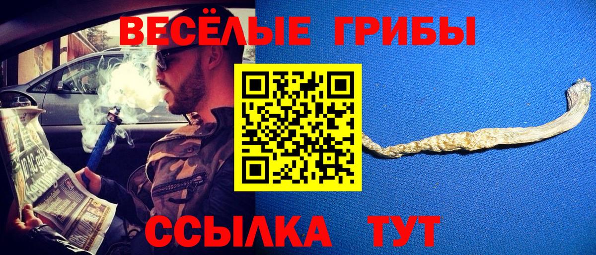 где можно купить   Псилоцибиновые грибы мухоморы  Вход с VPN  Каменск-Шахтинский 